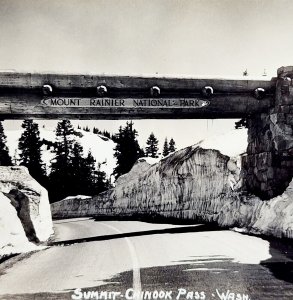 RPPC Mt Rainier National Park Washington 1920s Chinook Pass Bridge Ellis PCBG6F