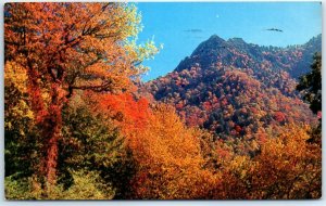 The Chimney Tops In Fall Colors, Great Smoky Mountains National Park - Tennessee