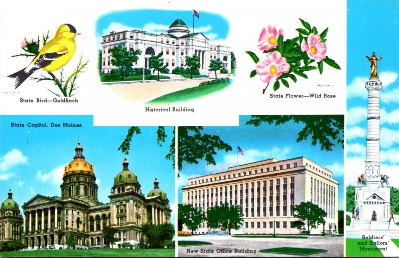 Iowa Multi View With State Bird State Flower and More