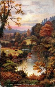 On the Avonbeg, County Wicklow Tuck 7029 Vintage Postcard Z03