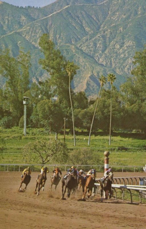 Santa Anita Park Arcadia CA Los Angeles Horse Racing Race Track Postcard D23