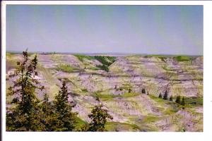 Horseshoe Canyon, Drumheller, Alberta, Prehistoric Parks