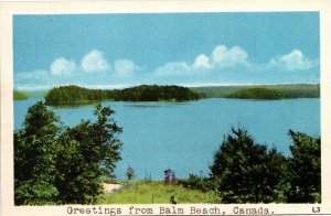 Postcard ON Greetings from Balm Beach on Georgian Bay 1940s S98