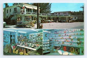 Dodson's Shell & Gift Shop  St Petersburg Florida FL  UNP Chrome Postcard P2