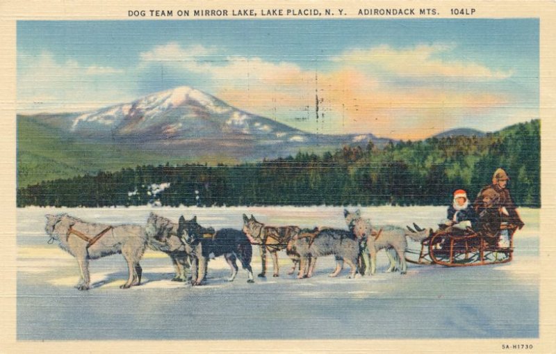 Dog Team Sled on Mirror Lake Lake Placid NY Adirondacks New York pm 1953 - Linen