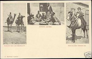 palestine, Bedouin Camel, Arab Dinner, Horse Rider 1899