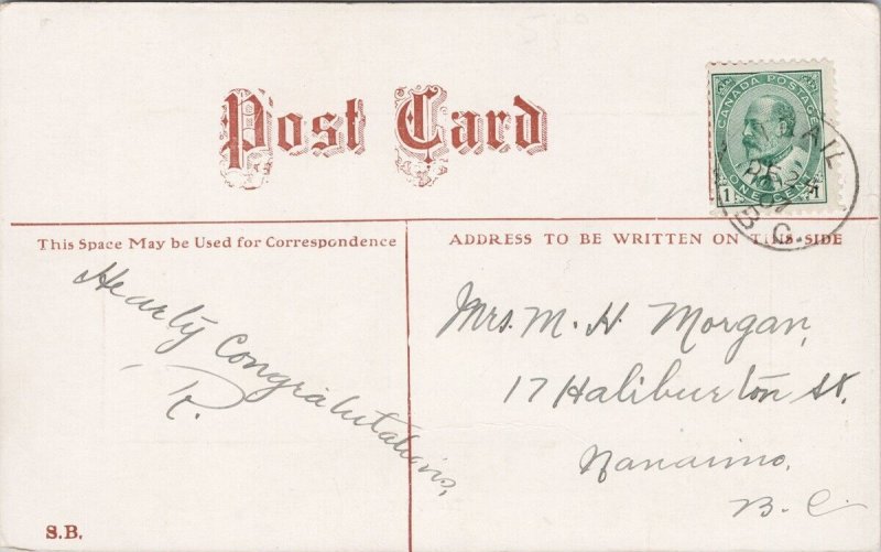 Trail BC British Columbia Framed Border Birdseye c1907 Postcard H52