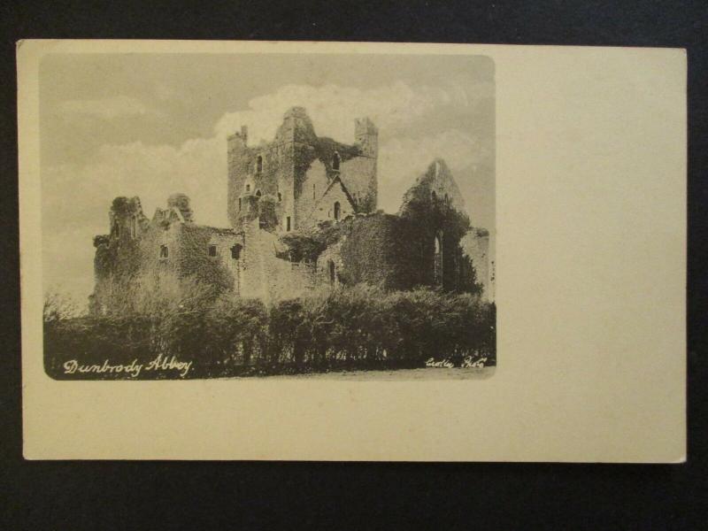 Mint Vintage Dunbrody Abbey Wiexford Ireland Real Picture Postcard 