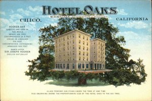 Chico California CA Hotel Oaks c1910 Vintage Postcard