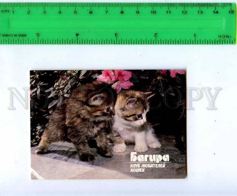 188908 USSR RUSSIA club cats ADVERTISING CALENDAR 1990 year