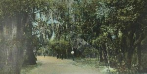 c. 1906 Brackenridge Park Postcard San Antonio TX Undivided