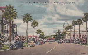 Florida Tampa Beautiful Davis Boulevard On Davis Island