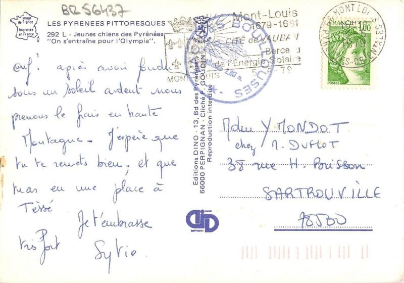 BR56437 jeunes chines des pyrenees dog Animaux animals