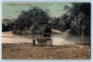 Middlesex Jamaica The W.I. Postcard Horse Carriage River Fording St. Ann's c1910