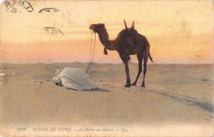 BR72399 la priere au desert camel  types folklore costumes africa