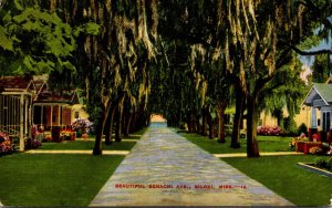 Mississippi Biloxi Beautiful Benachi Avenue 1950