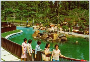 VINTAGE CONTINENTAL SIZE POSTCARD THE SEALS AND PENGUIN POND AT SINGAPORE ZOO