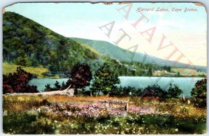 c1910s Cape Breton, England Harvard Lakes Nature Private Post Card Eastern A157