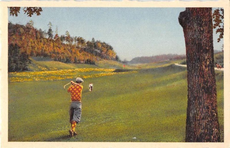 Asheville North Carolina Lake Lure Golf Course Vintage Postcard AA30904