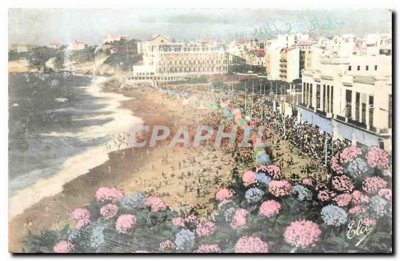 CARTE Postal Biarritz B Old P hydrangeas La Grande Plage