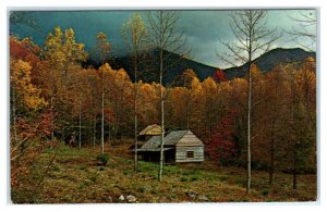 GATLINBURG Area, TN Tennessee ~Rustic Cabin JUNGLEBROOK HOMESTEAD 1969  Postcard