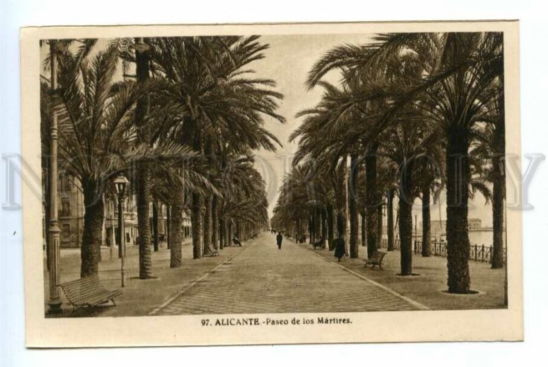 494905 SPAIN Alicante boulevard of the martyrs Vintage Roisin postcard