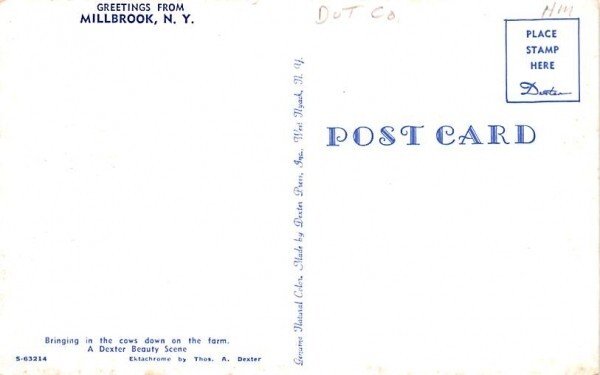 Bringing in the Cows Millbrook, New York Postcard