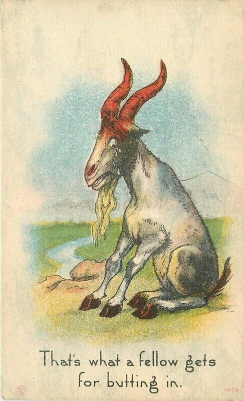 Artist impression C-1910 Goat Comic Humor #1052 Berman Postcard 20-7717