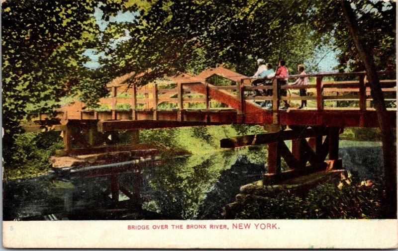 Vtg New York City NY Bridge Over Bronx River 1909 Old View Postcard