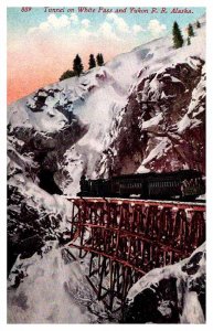 Postcard TRAIN SCENE Skagway Alaska AK AP9360