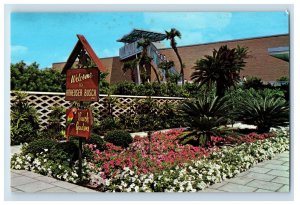 Vintage Budweiser Brewery Tampa Flordia Postcard P132E