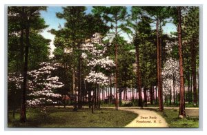 Deer Park Pinehurst NC UNP Hand Colored Albertype Postcard W17