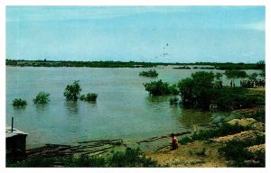 Postcard PIER SCENE Naples Florida FL AR2449