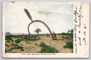 Mohave Desert Utah Royal Arch Yucca To Long Pine NE Postcard A35