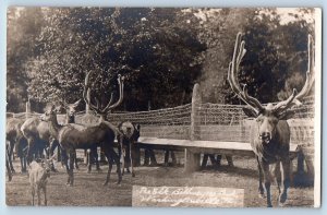 Washingtonville PA Postcard RPPC Photo The Elk Billmeyers Park c1910's Antique