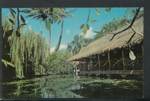 America Postcard - The Willows, 901 Hausten Street, Honolulu, Hawaii  RS18354