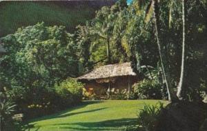 Hawaii Honolulu The Waioli Tea Room