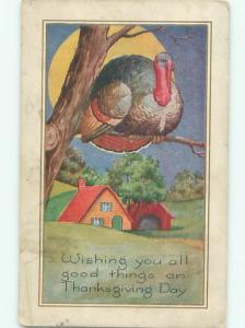 Pre-Linen Thanksgiving TURKEY BIRD SITTING ON BRANCH AB4283