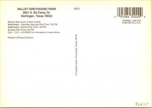 Harlingen, TX Texas  VALLEY GREYHOUND PARK Dog Racing~Stands~Night  4X6 Postcard
