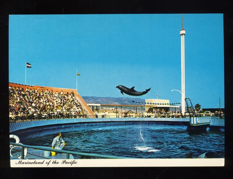 Rancho Palos Verdes, California/CA Postcard, Marineland Of Pacific, Near Mint!