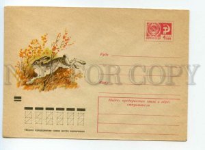 488366 USSR 1973 year Kupriyanov hare postal COVER