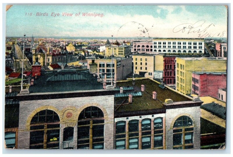 1908 Birds Eye View of Winnipeg Manitoba Canada Antique Posted Postcard