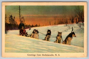 Postcard Nova Scotia Dog Sled Team - Greetings from Shubenacadie