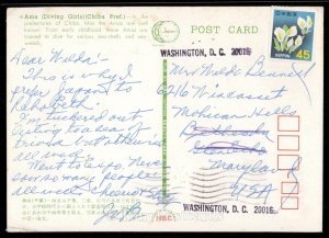 Ama (Diving Girls) (Chiba Pref.)