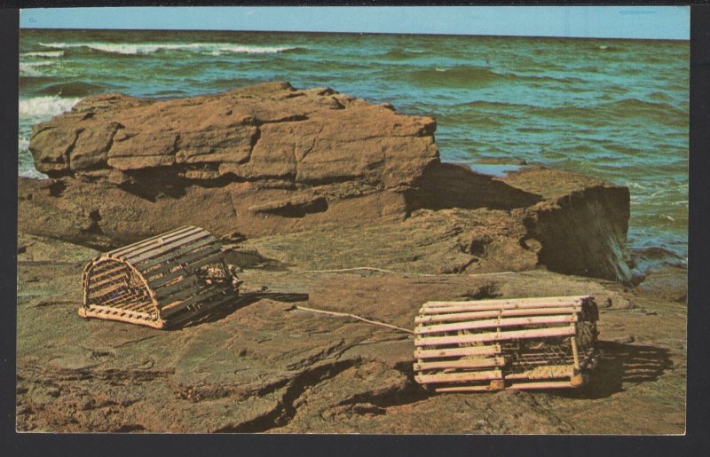 PEI Prince Edward Island Two of the many lobster traps washed ashore - Chrome