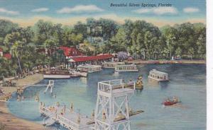 Florida Silver Springs Boat Docks and Glass Bottom Boats 1946 Curteich