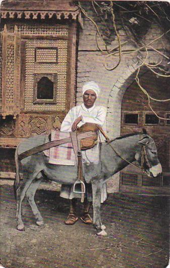 Egypt Cairo Donkey Boy