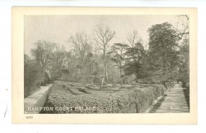 UK - England, Hampton Court Palace, The Maze