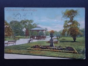 Yorkshire SHEFFIELD Bandstand in BOTANIC GARDENS c1905 Postcard by Valentine