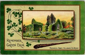 Remember Green ERin, Muckross Abbey Killarney Ireland c1911 Vintage Postcard P01